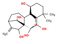 Subst // Subst = SMILES CC1(C)CC[C@H](O)[C@]23[C@@H]1[C@H](O)[C@](OC3)(O)[C@]45[C@H]2CC[C@@H](C([C@H]5O)=C)[C@H]4O
