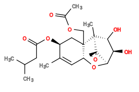 Subst // Subst = SMILES CC1=C[C@@H]2[C@]([C@@]3(C)[C@H](O)[C@@H](O)[C@@H](O2)[C@@]34CO4)(COC(C)=O)C[C@@H]1OC(CC(C)C)=O