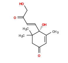 Subst // Subst = SMILES CC1=CC(CC(C)(C)[C@@]1(O)/C=C/C(CO)=O)=O