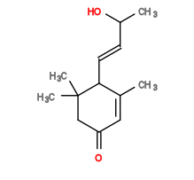 Subst // Subst = SMILES CC1=CC(CC(C)(C)C1/C=C/C(O)C)=O