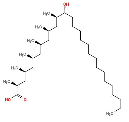 Subst // Subst = SMILES CCCCCCCCCCCCCCC[C@@H](O)[C@H](C)C[C@H](C)C[C@H](C)C[C@H](C)C[C@H](C)C[C@H](C)C(O)=O