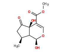 Subst // Subst = SMILES COC(=O)/C1=C/O[C@@H](O)C2[C@@H](C)CC(=O)[C@]12O