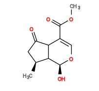 Subst // Subst = SMILES COC(=O)/C1=C/O[C@@H](O)C2[C@@H](C)CC(=O)C12