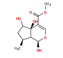 Subst // Subst = SMILES COC(=O)/C1=C/O[C@@H](O)C2[C@@H](C)CC(O)[C@]12O