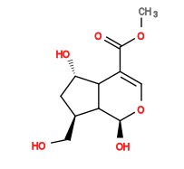 Subst // Subst = SMILES COC(=O)/C1=C/O[C@@H](O)C2[C@@H](CO)C[C@H](O)C12