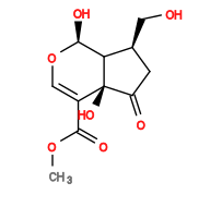 Subst // Subst = SMILES COC(=O)/C1=C/O[C@@H](O)C2[C@@H](CO)CC(=O)[C@]12O