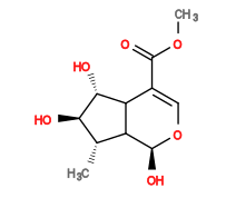 Subst // Subst = SMILES COC(=O)/C1=C/O[C@@H](O)C2[C@H](C)[C@@H](O)[C@H](O)C12