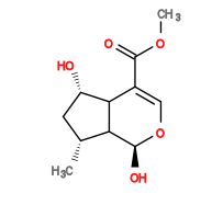 Subst // Subst = SMILES COC(=O)/C1=C/O[C@@H](O)C2[C@H](C)C[C@H](O)C12