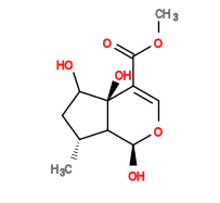Subst // Subst = SMILES COC(=O)/C1=C/O[C@@H](O)C2[C@H](C)CC(O)[C@]12O