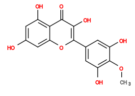 Subst // Subst = SMILES COc1c(O)cc(-c2oc3cc(O)cc(O)c3c(=O)c2O)cc1O