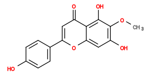 Subst // Subst = SMILES COc1c(O)cc2oc(-c3ccc(O)cc3)cc(=O)c2c1O