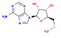 Subst // Subst = SMILES CSC[C@H]1O[C@H]([C@@H]([C@@H]1O)O)N2C=NC3=C2N=CN=C3N