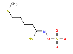 Subst // Subst = SMILES CSCCCC/C(S)=N/OS(=O)([O-])=O