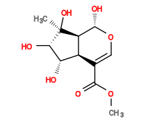 Subst // Subst = SMILES O=C(C1=CO[C@@H](O)[C@@]2([H])[C@]1([H])[C@H](O)[C@H](O)[C@]2(O)C)OC