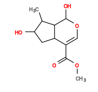 Subst // Subst = SMILES O=C(C1=CO[C@@H](O)[C@@]2([H])[C@]1([H])C[C@H](O)[C@H]2C)OC