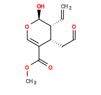 Subst // Subst = SMILES O=C(C1=CO[C@@H](O)[C@H](C=C)[C@@H]1CC=O)OC