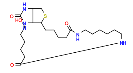 Subst // Subst = SMILES O=C(CCCCCO)NCCCCCCNC(=O)CCCCC2SCC1NC(=O)NC12