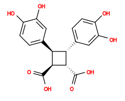 Subst // Subst = SMILES O=C(O)[C@@H]1[C@@H](C(=O)O)[C@@H](c2ccc(O)c(O)c2)[C@@H]1c1ccc(O)c(O)c1