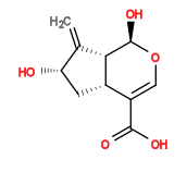 Subst // Subst = SMILES O=C(O)C1=CO[C@H](O)[C@@H]2[C@H]1C[C@H](O)C2=C