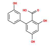 Subst // Subst = SMILES O=C(O)c1c(O)cc(O)cc1-c1cccc(O)c1