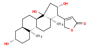 Subst // Subst = SMILES O=C1OCC([C@H]2[C@@H](O)C[C@]3(O)[C@]4([H])CC[C@]5([H])C[C@@H](O)CC[C@]5(C)[C@@]4([H])CC[C@]23C)=C1