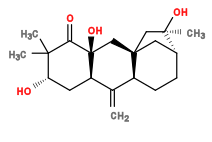 Subst // Subst = SMILES O[C@@H](C1)C(C)(C)C([C@@](C[C@]2(C[C@]3(O)C)[C@H]4CC[C@@H]3C2)(O)[C@H]1C4=C)=O