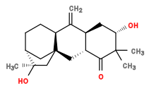 Subst // Subst = SMILES O[C@@H](C1)C(C)(C)C([C@H](C[C@]2(C[C@]3(O)C)[C@H]4CC[C@@H]3C2)[C@H]1C4=C)=O