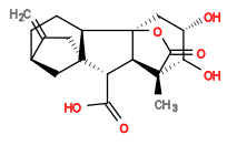 Subst // Subst = SMILES O[C@@H]1[C@H](O)[C@]2(C)[C@@H]([C@H](C(O)=O)[C@@]3(CC4=C)C[C@H]4CC[C@H]35)[C@@]5(OC2=O)C1