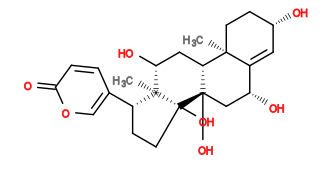 Subst // Subst = SMILES O[C@@H]1C[C@]2(O)[C@@H]([C@]3(C)C1=C[C@@H](O)CC3)C[C@@H](O)[C@@]4(C)[C@]2(O)CC[C@@H]4C5=COC(C=C5)=O