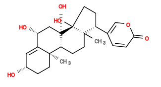 Subst // Subst = SMILES O[C@@H]1C[C@]2(O)[C@@H]([C@]3(C)C1=C[C@@H](O)CC3)CC[C@@]4(C)[C@]2(O)CC[C@@H]4C5=COC(C=C5)=O