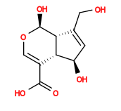 Subst // Subst = SMILES O[C@H]1[C@H](C(C(O)=O)=CO[C@H]2O)[C@H]2C(CO)=C1