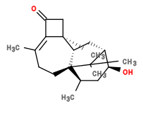 Subst // Subst = SMILES O[C@H]1C[C@@H](C)[C@]2(CCC(C)=C3C4=O)[C@]([H])([C@@]3(C4)C)C[C@H]1C2(C)C