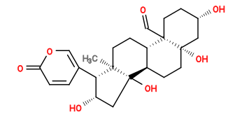 Subst // Subst = SMILES O[C@H]1CC[C@@]2([C@H]3CC[C@@]4([C@H]([C@@H](O)C[C@@]4([C@@H]3CC[C@@]2(C1)O)O)C5=COC(C=C5)=O)C)C=O