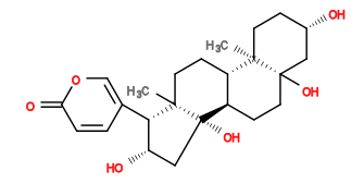 Subst // Subst = SMILES O[C@H]1CC[C@@]2([C@H]3CC[C@@]4([C@H]([C@@H](O)C[C@@]4([C@@H]3CC[C@@]2(C1)O)O)C5=COC(C=C5)=O)C)C