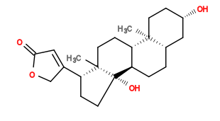 Subst // Subst = SMILES O[C@H]1CC[C@@]2(C)[C@](CC[C@]3([H])[C@]2([H])CC[C@@]4(C)[C@]3(O)CC[C@@H]4C(CO5)=CC5=O)([H])C1