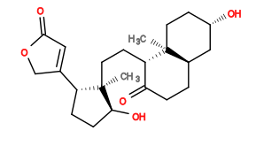 Subst // Subst = SMILES O[C@H]1CC[C@@]2(C)[C@H](CCC([C@@H]2CC[C@]3(C)[C@@H](C4=CC(OC4)=O)CC[C@@H]3O)=O)C1