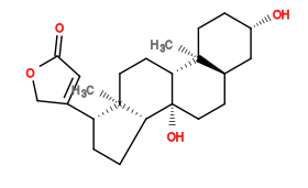 Subst // Subst = SMILES O[C@H]1CC[C@]2(C)[C@@]3([H])CC[C@]4(C)[C@@H](C(CO5)=CC5=O)CC[C@@]4([H])[C@]3(O)CC[C@@]([H])2C1