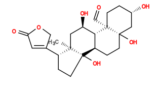 Subst // Subst = SMILES O[C@H]1CC[C@]2(C=O)[C@@H]3[C@H]([C@@]4(O)CC[C@H](C5=CC(OC5)=O)[C@@]4(C)C[C@H]3O)CC[C@]2(O)C1