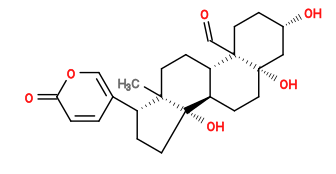 Subst // Subst = SMILES O[C@H]1CC[C@]2(C=O)[C@H]3CC[C@]4(C)[C@@H](C5=COC(C=C5)=O)CC[C@]4(O)[C@@H]3CC[C@]2(O)C1