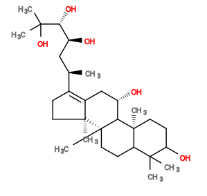 Subst // Subst = SMILES OC1CC[C@@]2(C)C(CC[C@@]3(C)C2[C@@H](O)CC4=C([C@H](C)C[C@H](O)[C@@H](O)C(C)(O)C)CC[C@]34C)C1(C)C