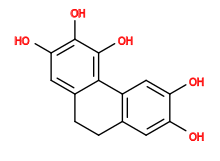 Subst // Subst = SMILES Oc3cc2CCc1cc(O)c(O)c(O)c1c2cc3O