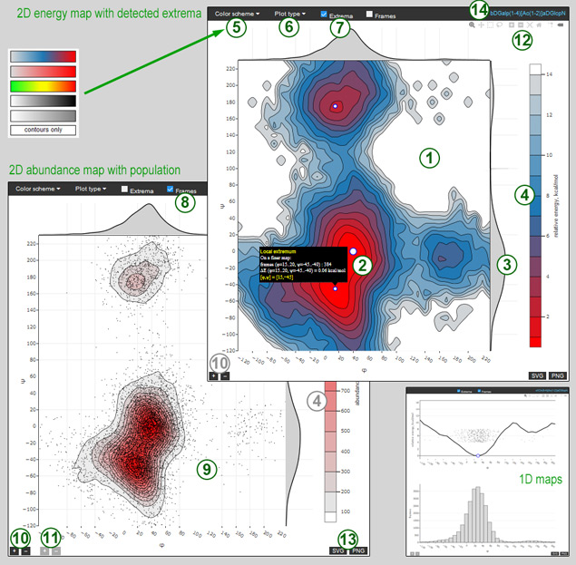 2D conformation maps