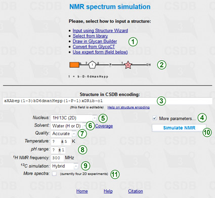 Input of the NMR simulation