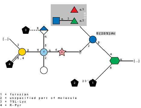 Example structure in SNFG notation