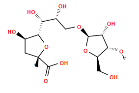 *O[C@@H]1[C@@H](CO)O[C@@H](OC[C@@H](O)[C@@H](O)[C@@H]2O[C@](*)(C(=O)O)C[C@H]2O)[C@@H]1O