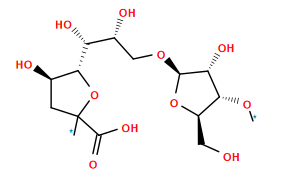 *O[C@@H]1[C@@H](CO)O[C@@H](OC[C@@H](O)[C@@H](O)[C@@H]2OC(*)(C(=O)O)C[C@H]2O)[C@@H]1O