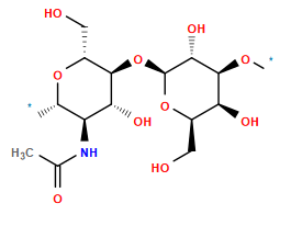 *O[C@H]1[C@@H](O)[C@@H](CO)O[C@@H](O[C@H]2[C@H](O)[C@@H](NC(C)=O)[C@H](*)O[C@@H]2CO)[C@@H]1O