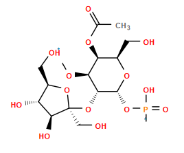 *O[C@H]1[C@@H](OC(C)=O)[C@@H](CO)O[C@H](OP(*)(=O)O)[C@@H]1O[C@]1(CO)O[C@H](CO)[C@@H](O)[C@@H]1O