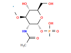 *O[C@H]1[C@H](O)[C@@H](CO)O[C@H](OP(*)(=O)O)[C@@H]1NC(C)=O