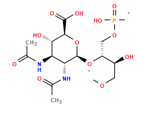 *OC[C@H](O)[C@@H](COP(*)(=O)O)O[C@@H]1O[C@H](C(=O)O)[C@@H](O)[C@H](NC(C)=O)[C@H]1NC(C)=O